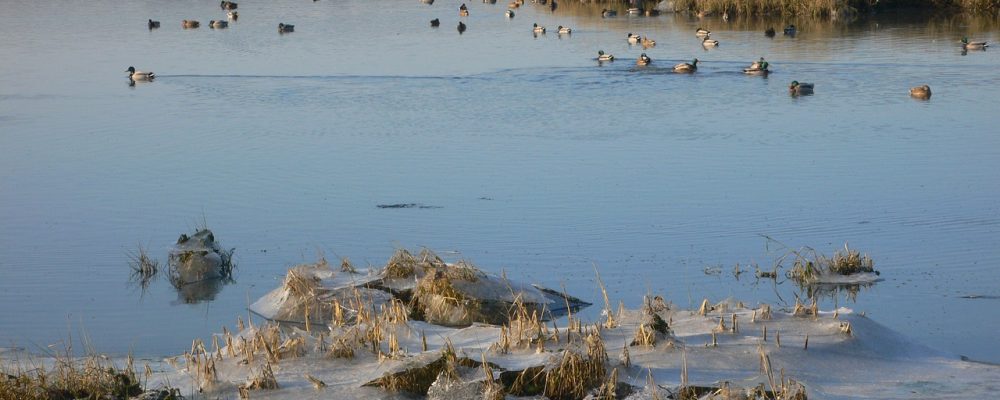 Pourquoi devez-vous opter pour des vacances dans le Morbihan ?